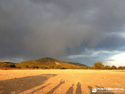 Berrea del Ciervo en Cabañeros y Montes de Toledo en 4x4;ruta sierra madrid ruta de senderismo